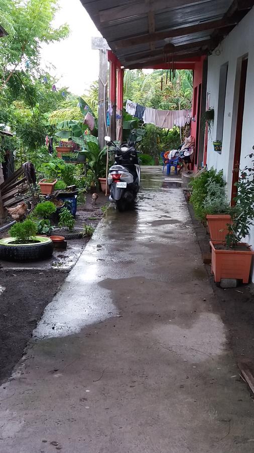 Mi Ranchito Bed & Breakfast Santa Cruz Екстериор снимка