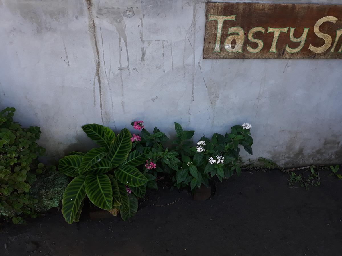 Mi Ranchito Bed & Breakfast Santa Cruz Екстериор снимка