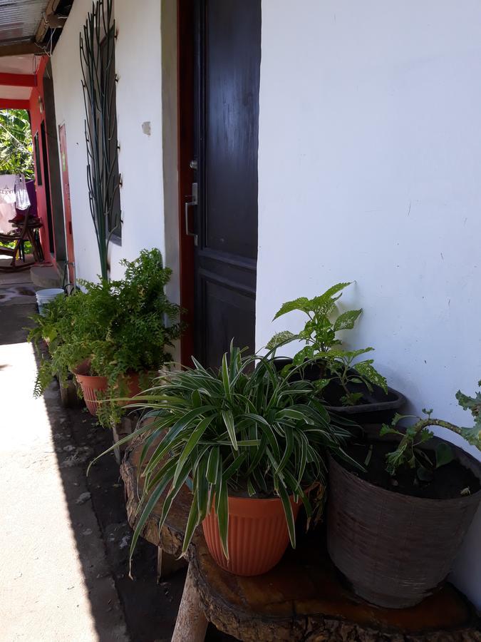Mi Ranchito Bed & Breakfast Santa Cruz Екстериор снимка